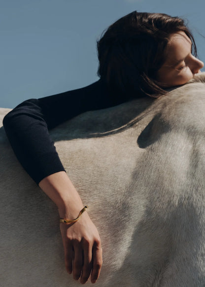 Edition gilded edition