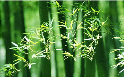 Hand-Knitted Chinese Bamboo Pendant Lamp – Elegant Weaving Chandelier for Home & Restaurant